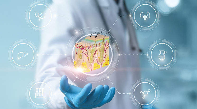 Human Organ Modeling