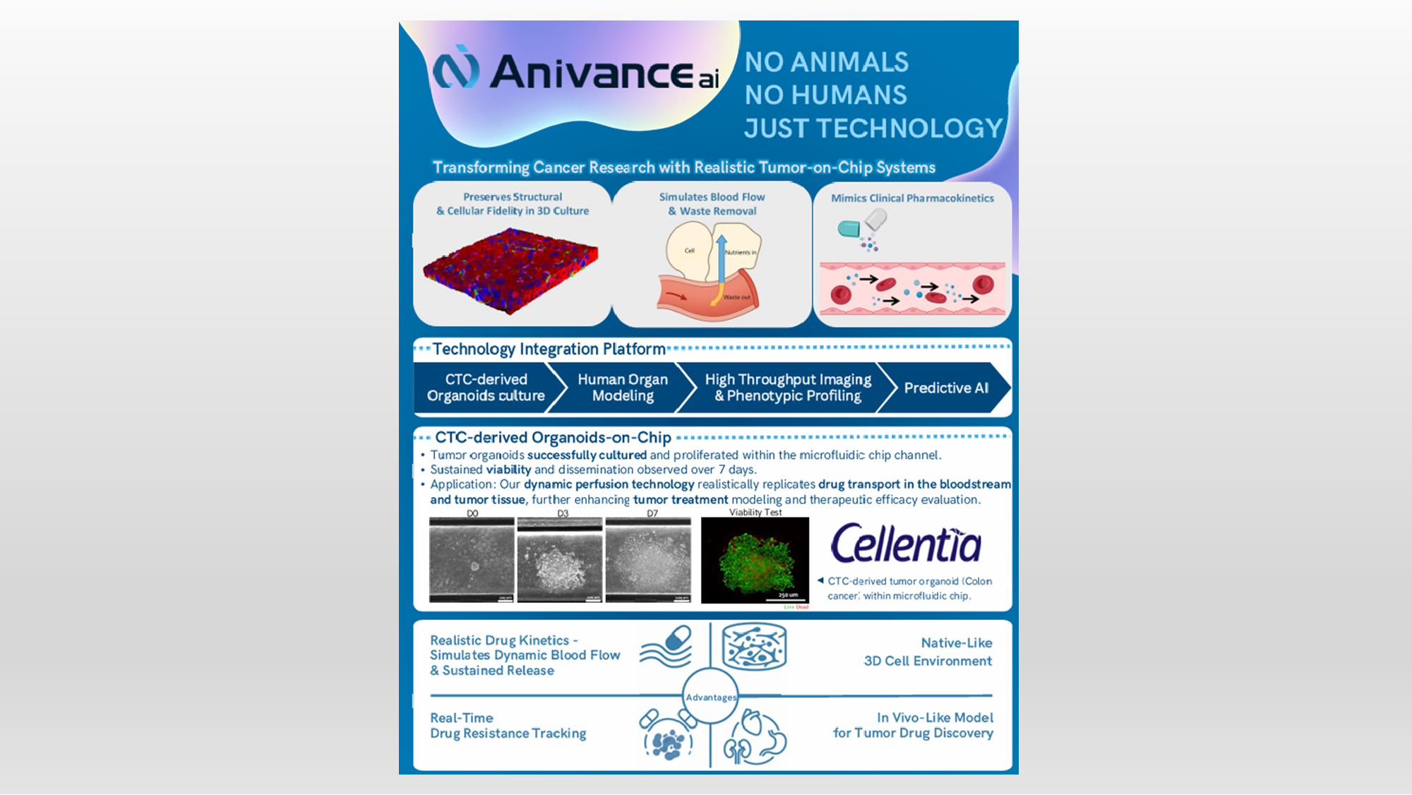 Tumor-on-Chip Model with Cellentia